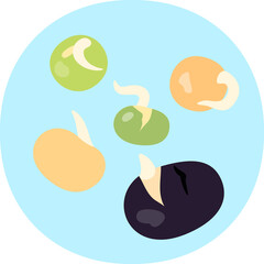 発芽したいろいろな豆