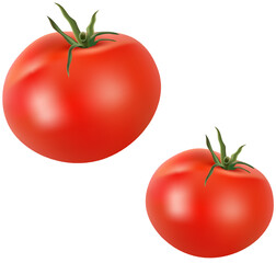 realistic vegetable isolated on a transparent background. high quality vector 