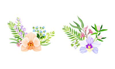 Beautiful tropical flowers and leaves set. Floral composition with exotic plants vector illustration