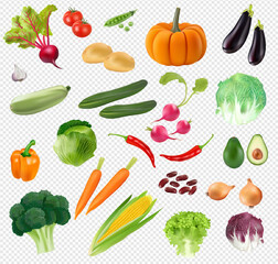 large collection of realistic vegetables on a transparent background. high quality vector 