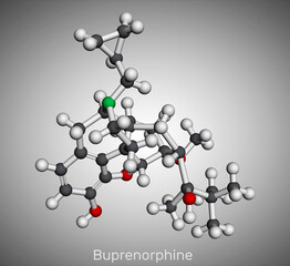 Buprenorphine morphinane alkaloid molecule. It is semisynthetic opioid analgesic, used for management of severe pain.