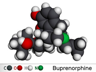 Buprenorphine morphinane alkaloid molecule. It is semisynthetic opioid analgesic, used for management of severe pain.