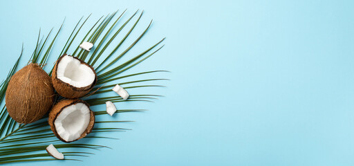 Obraz na płótnie Canvas Summer weekend concept. Top view photo of cracked coconuts and palm leaves on isolated pastel blue background with copyspace