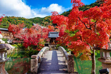 京都の永観堂（禅林寺）で見た、錦雲橋の周りに広がる紅葉と青空