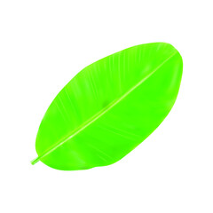 Fototapeta premium realistic banana leaf vector illustration isolated on white background.