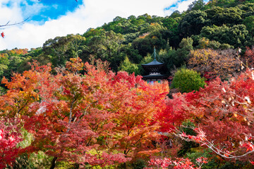 京都の永観堂（禅林寺）で見た、放生池の周りに広がる真っ赤な紅葉と青空