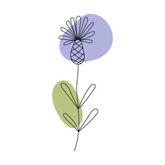 Flower in the style of line art with colored spots