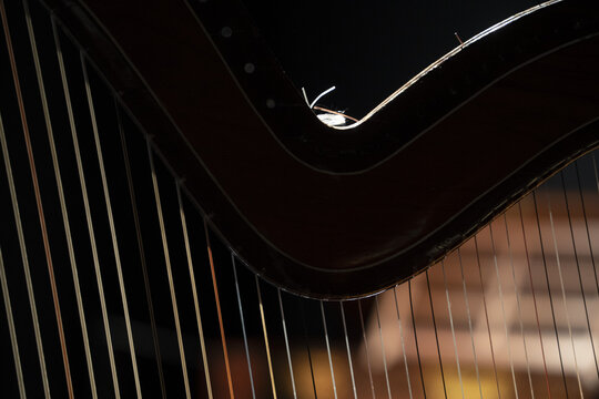 Harp Strings Detail Close Up Isolated On Black