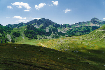Fototapeta premium Montenegro. Durmitor National Park. Saddle Pass. Alpine meadows. Mountain landscape. Popular tourist spot