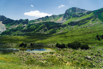 Montenegro. Durmitor National Park. Saddle Pass. Alpine meadows. Mountain landscape. Small mountain lake. Popular tourist spot