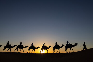 Caravana de camellos en el desierto - obrazy, fototapety, plakaty