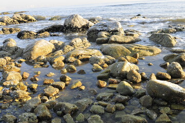 The winter sea ice and pebbles