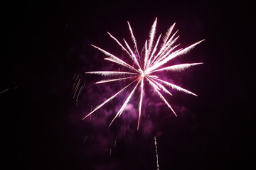 Colorful fireworks in the night sky