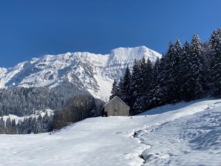 Indigenous alpine huts and wooden cattle stables on Swiss pastures covered with fresh white snow cover, Nesslau - Obertoggenburg, Switzerland (Schweiz)