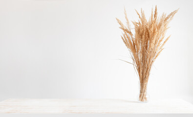 Bouquet of dry pampas grass in beige color on a wooden table. Minimal style banner with copy space.