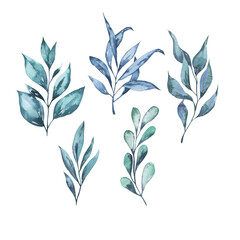 Decorative blue leaves and branches collection. Hand drawn watercolor illustration. - 502724285
