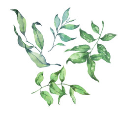 Decorative blue and green leaves and branches collection. Hand drawn watercolor illustration. - 502724286
