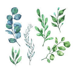 Spring or summer blue and green leaves and branches collection. Hand drawn watercolor illustration. - 502724291