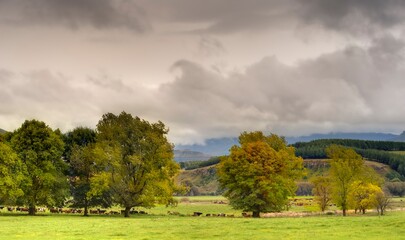 AUTUMN COLORS IN THE SOUTHERN DRAKENSBERG, 
Kwazulu Natal, South Africa 