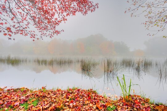 AUTUMN LEAVES AND COLOURS.  Kenmo Lake, Hazeldene, Himeville, South Africa