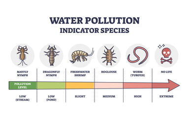 Water pollution indicator species from low to extreme levels outline diagram. Labeled educational scheme with wildlife organisms and creatures living in polluted fauna environment vector illustration. - obrazy, fototapety, plakaty