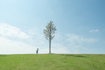 single tree and a girl, meadow and blue sky