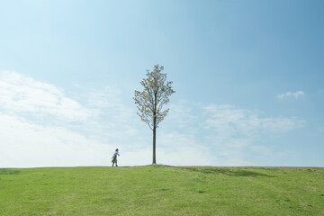 Fototapeta premium single tree and a girl, meadow and blue sky
