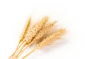 Fototapeta premium ripe wheat ears isolated on white background.