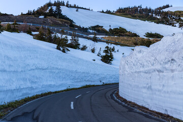 志賀草津道路雪の回廊
