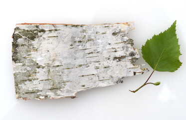 Birch bark, birch betula