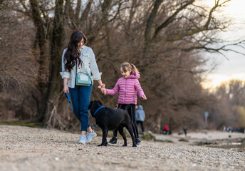 A young mother with a child and a dog are walking along the river in the city park.