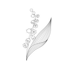 Lily of the valley. Black and white illustration of a lily of the valley. Outline (sketch) of a flower on a white background. Idea for tattoos and postcards.