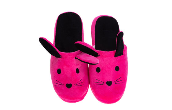 women's slippers isolated