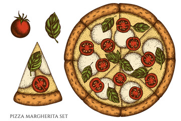 Pizza hand drawn vector illustrations collection. Colored pizza margherita.