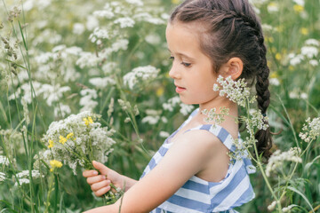 A cute dark-haired girl with pigtails in a blue and white dress collects a bouquet of wildflowers in a blooming summer meadow.Childhood, summer, rural simple life, positive vibes.