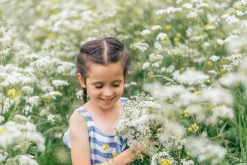 A cute dark-haired girl with pigtails in a blue and white dress collects a bouquet of wildflowers in a blooming summer meadow.Childhood, summer, rural simple life, positive vibes.