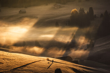 Foggy morning in Alpe di Siusi in the Italian Dolomites. Autumn in the mountains creates an amazing atmosphere.