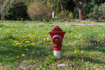 Hydrant wodny na trawniku przed domem