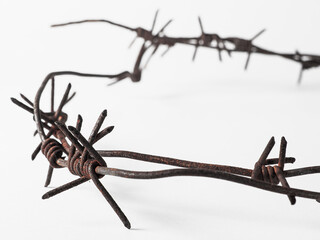 Fragment of rusty barbed wire on a white background. Symbol of fear of unfreedom of war