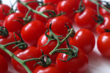 cherry tomatoes on a green branch, red berries, tomatoes on a white background.