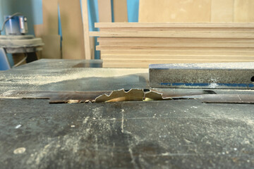 Close-up of cutting wood on a circular saw in a joinery. Furniture manufacture.