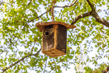 Cork birdhouse hanging of a tree