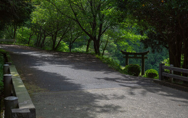 森の中の鳥居