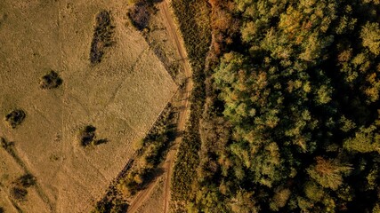 Forêt et champs vus du ciel