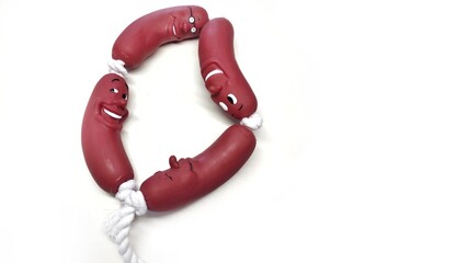 funny toy for dogs in the form of a sausage on a white background, banner