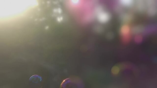 Colorful soap bubbles floating in the forest. 3d rendering animation.