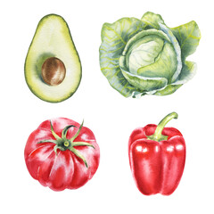 Watercolor vegetables illustration set: avocado, cabbage, tomato, red pepper