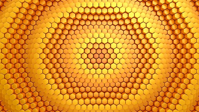 Hexagons Form A Wave. Abstract motion, loop, 5 in 1, 3d rendering, 4k resolution
