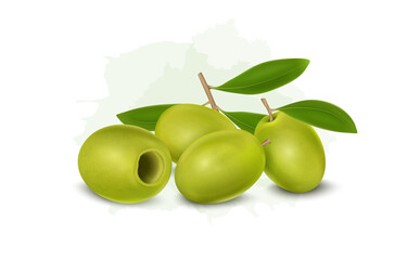 Fresh Green Olives vector illustration with green leaves isolated on white background