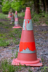 Construction cone in the woods/Cône chantier dans les bois